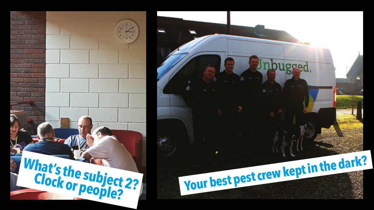 Your best pest crew kept in the dark Your best pest crew kept in the dark